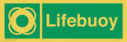 lifebuoy-with-symbol~